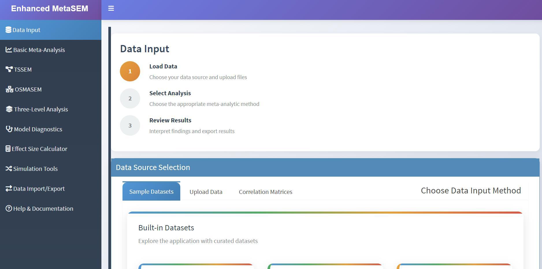 MetaSEM Data Input Interface